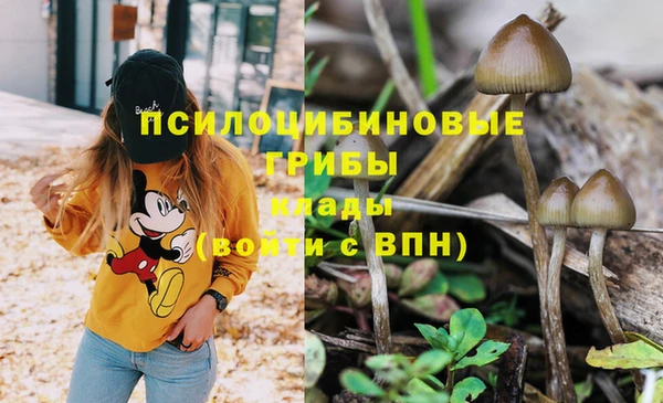 дмт Бугульма